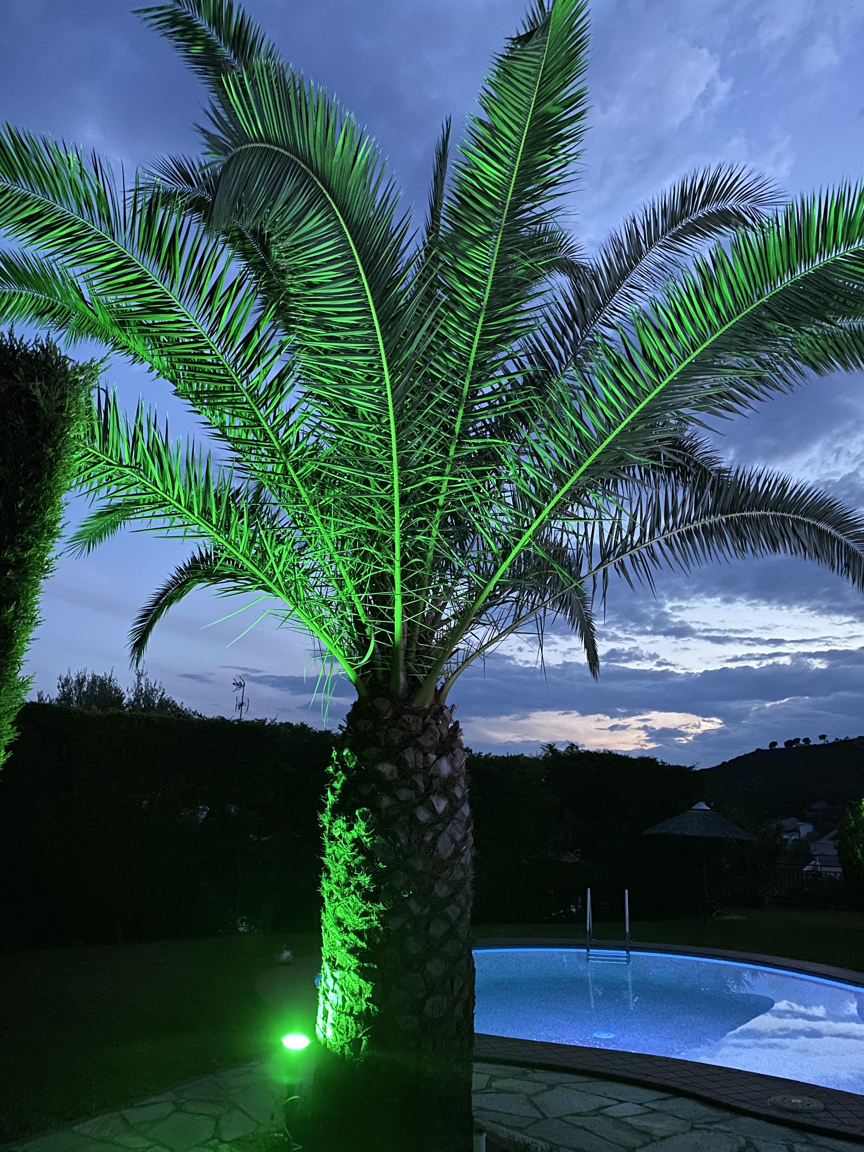 Villa Xanthippi Agia Paraskevi  Exterior foto