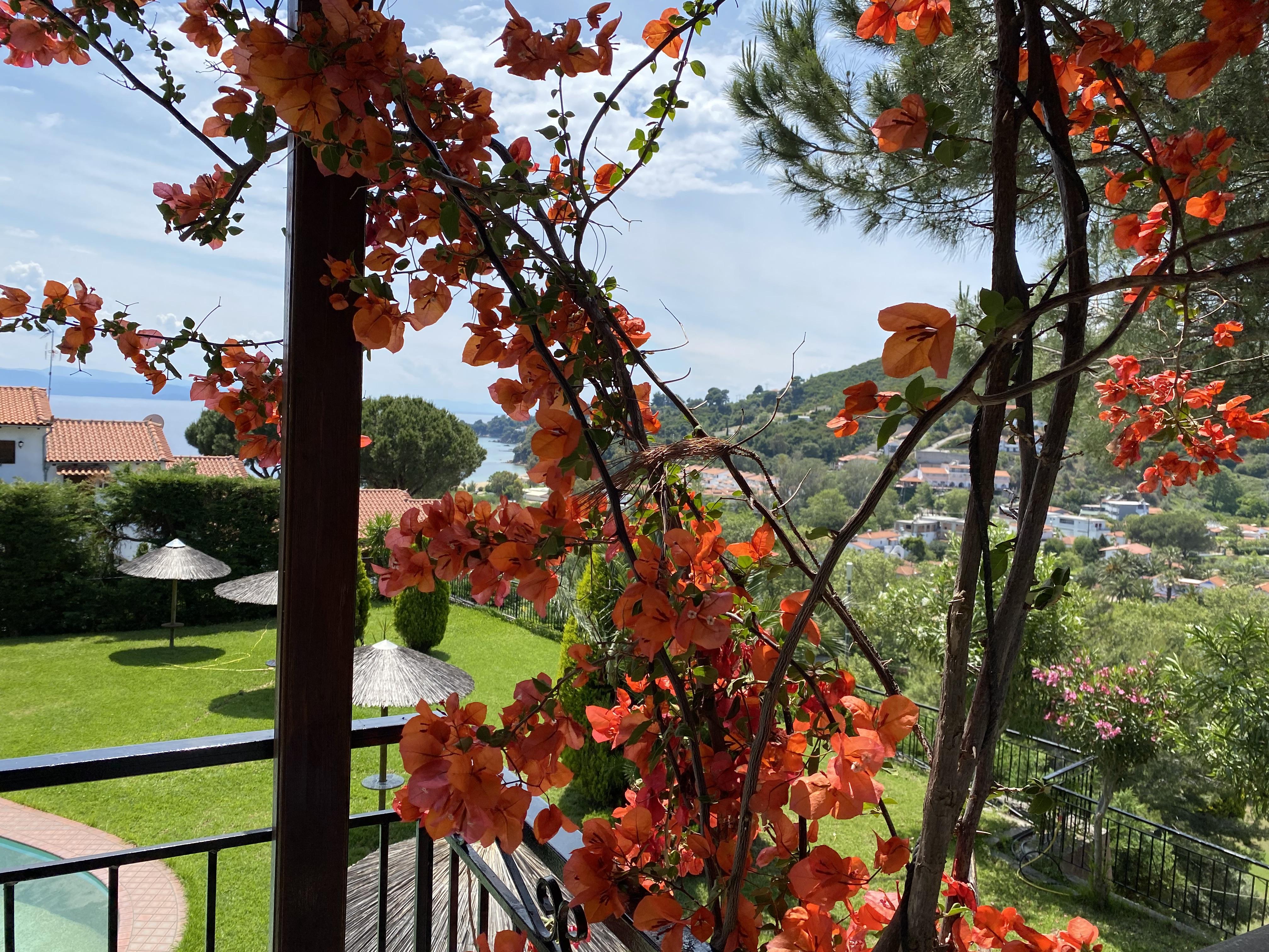 Villa Xanthippi Agia Paraskevi  Exterior foto